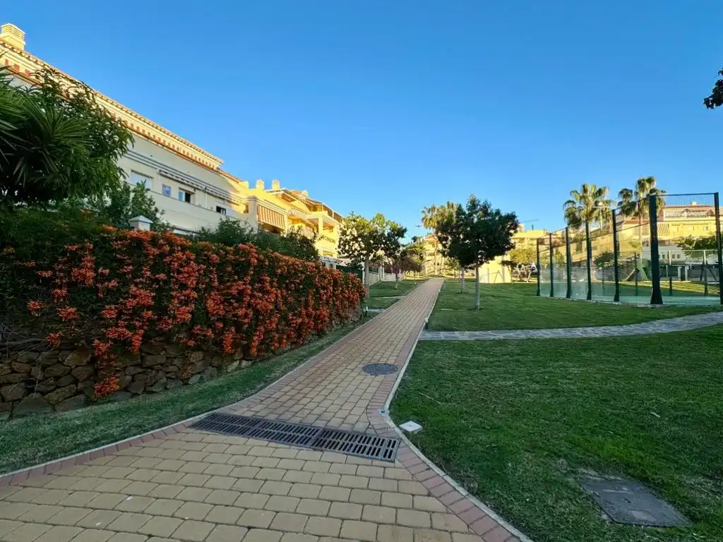 Appartement avec piscine à louer à Calle Aligustres de Baviera, imagen 5