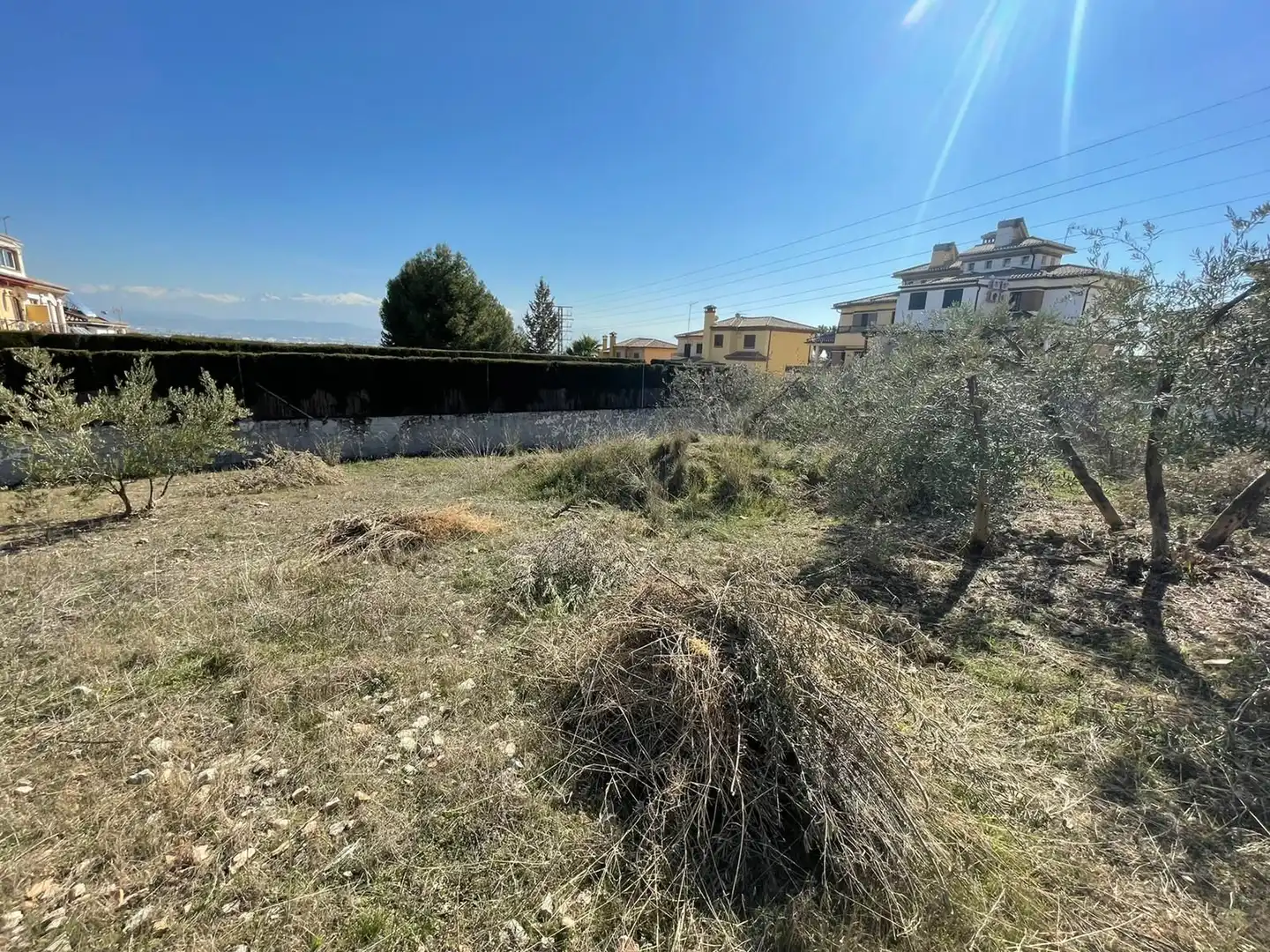 Terrenos y solares en venta en Centro de Albolote, imagen 12