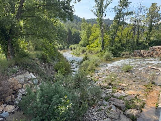 Casa-chalet en Venta en Castillo de Villamalefa