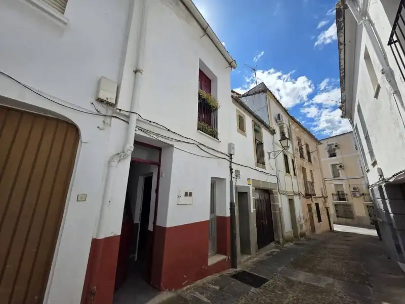 Vista exterior de Casa o chalet en venta en Plasencia con Jardín privado y Terraza