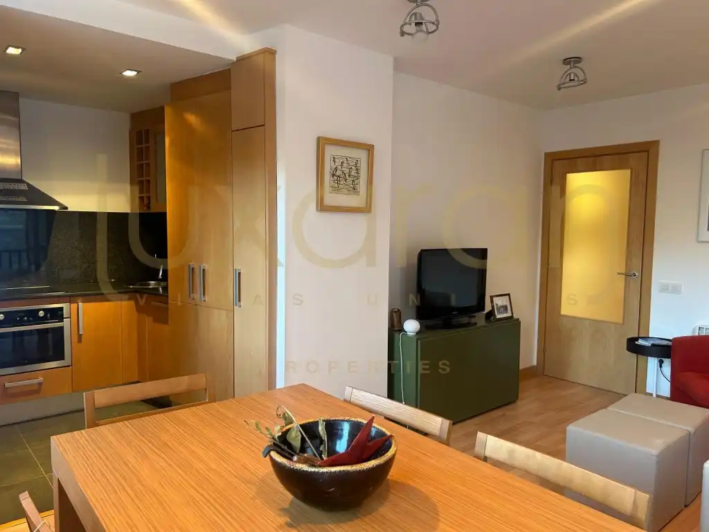Sala d'estar de Apartament en venda en Alt Àneu, Lleida