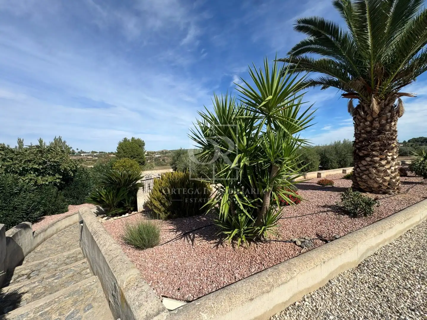 Vista exterior de Casa o chalet en venta en Cehegín, Murcia