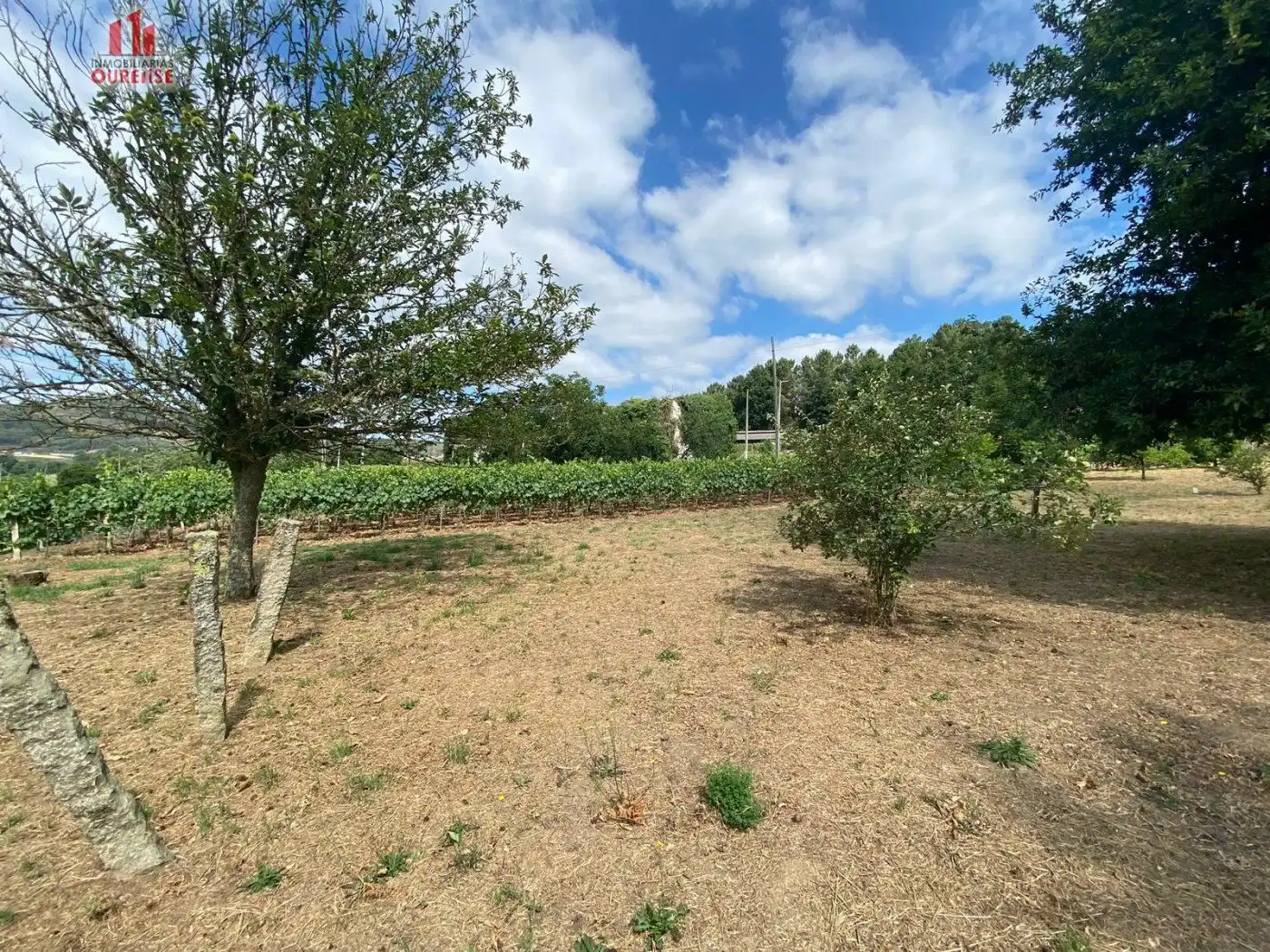 Residencial en venta en Ribadavia