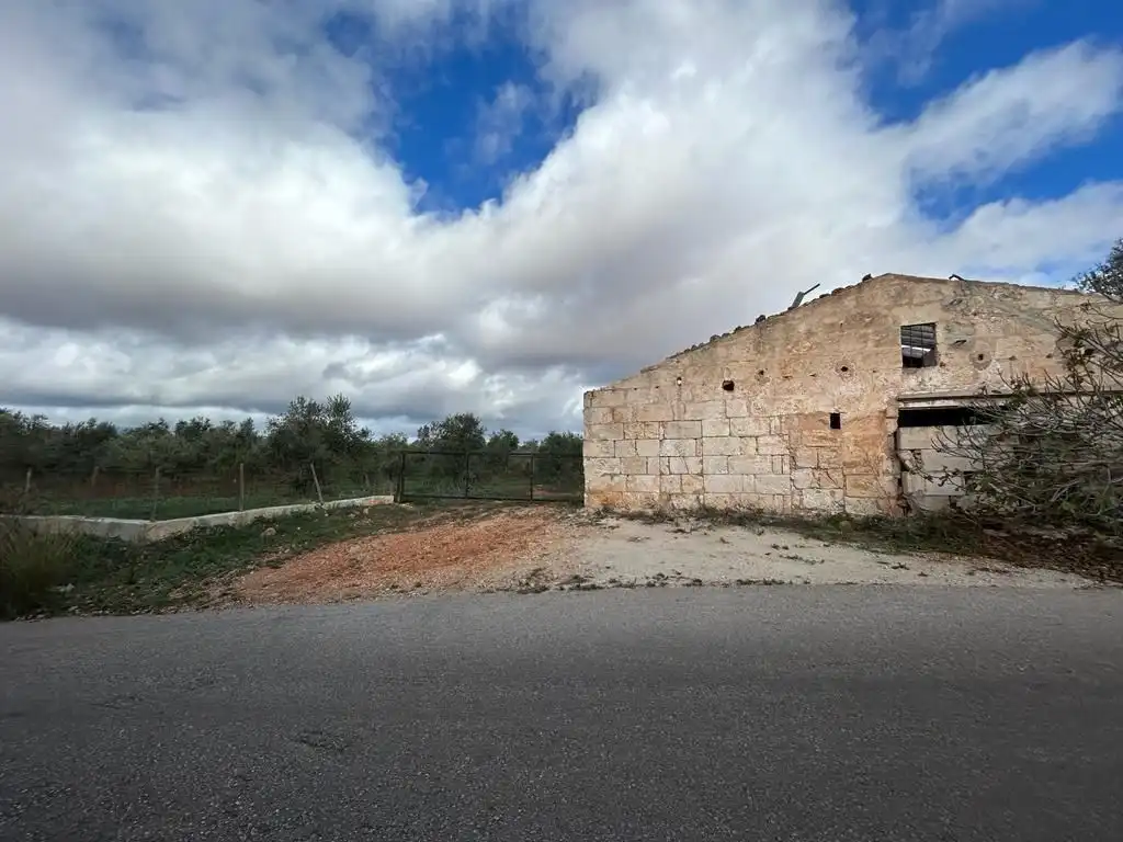 Rural land for sale in Sa Pobla, imagen 5