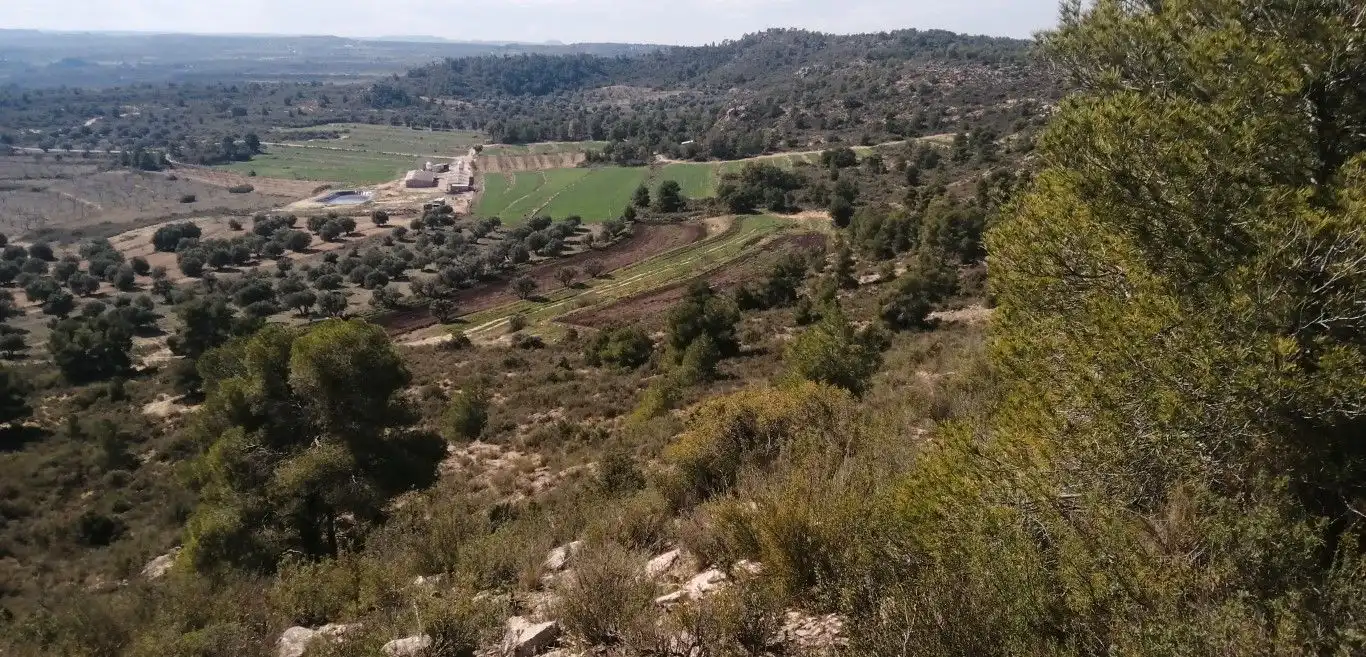 Terreno rústico en venta en Avinguda Terra Alta, imagen 5