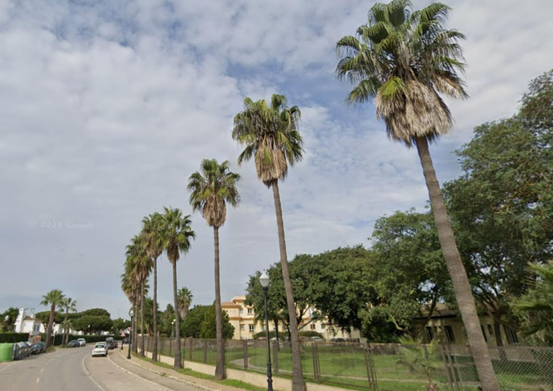 Vista exterior de Casa o xalet en venda en Chiclana de la Frontera