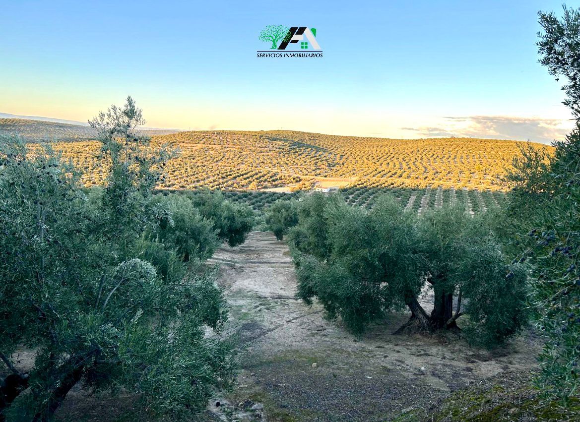 Land for sale in Ibros