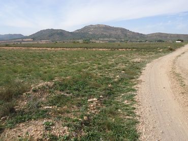 Terreno rustico in vendita a Yecla