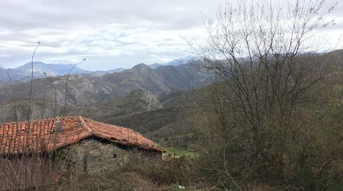 SOLAR CON RUINAS DE CASA Y CUADRA CERCA DE CANGAS DE ONIS CON VISTAS A PICOS DE EUROPA