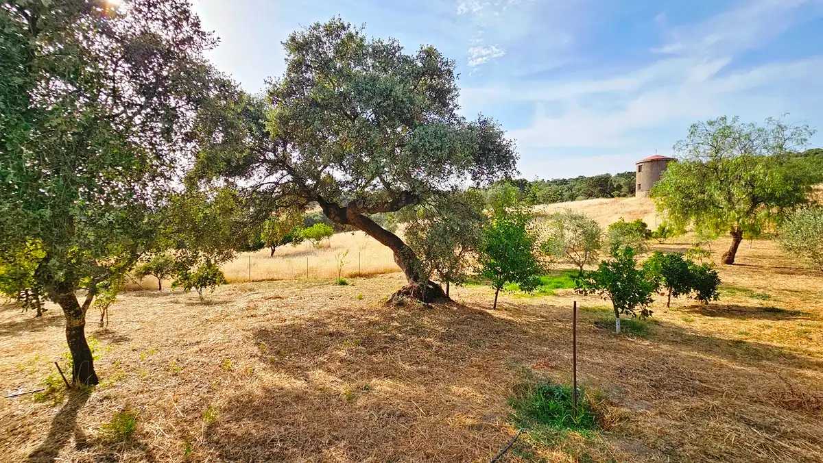 Casa o chalet en venta en El Castillo de las Guardas con Aire acondicionado, Jardín privado y Terraza