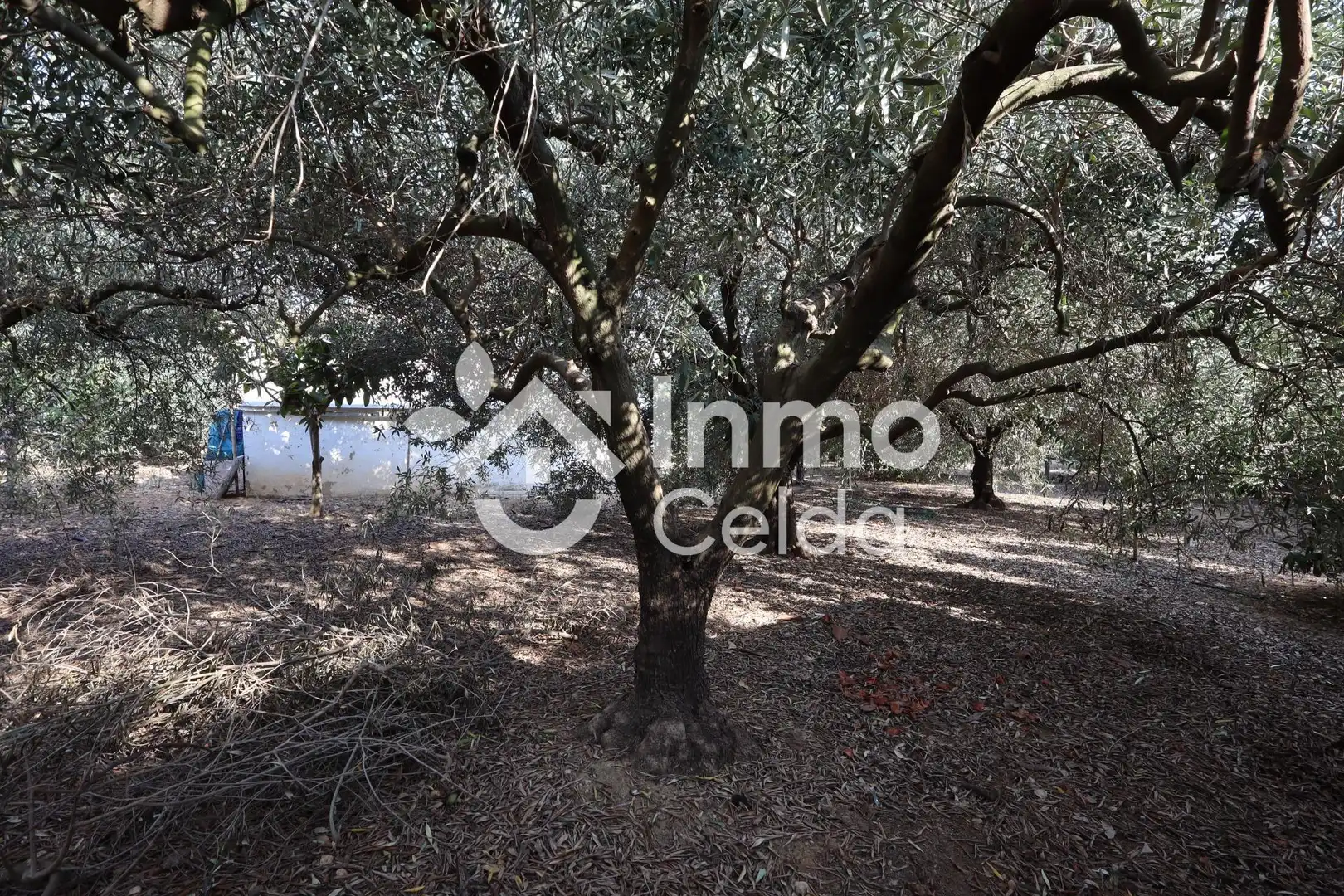 Casa o xalet en venda en Torrent amb Aire condicionat, Calefacció i Jardí privat