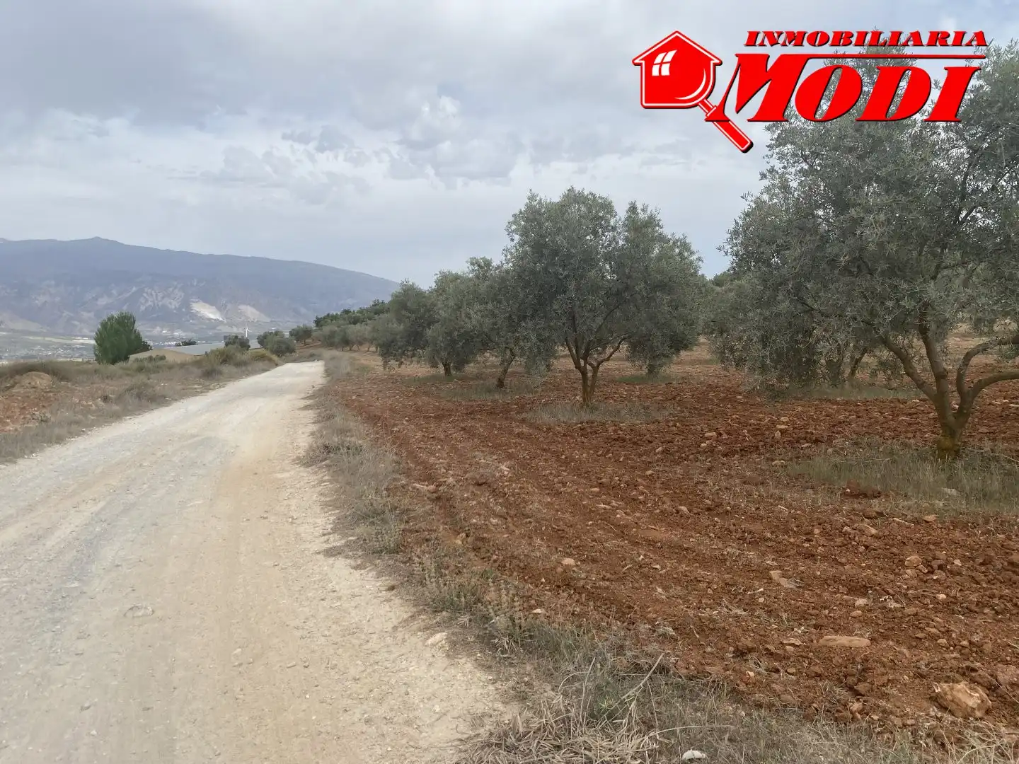 Terrenys i solars en venda a Padul, imagen 24