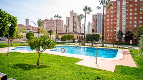 Foto 3 de Apartament en venda a Juzgados - Plaza de Toros, Benidorm