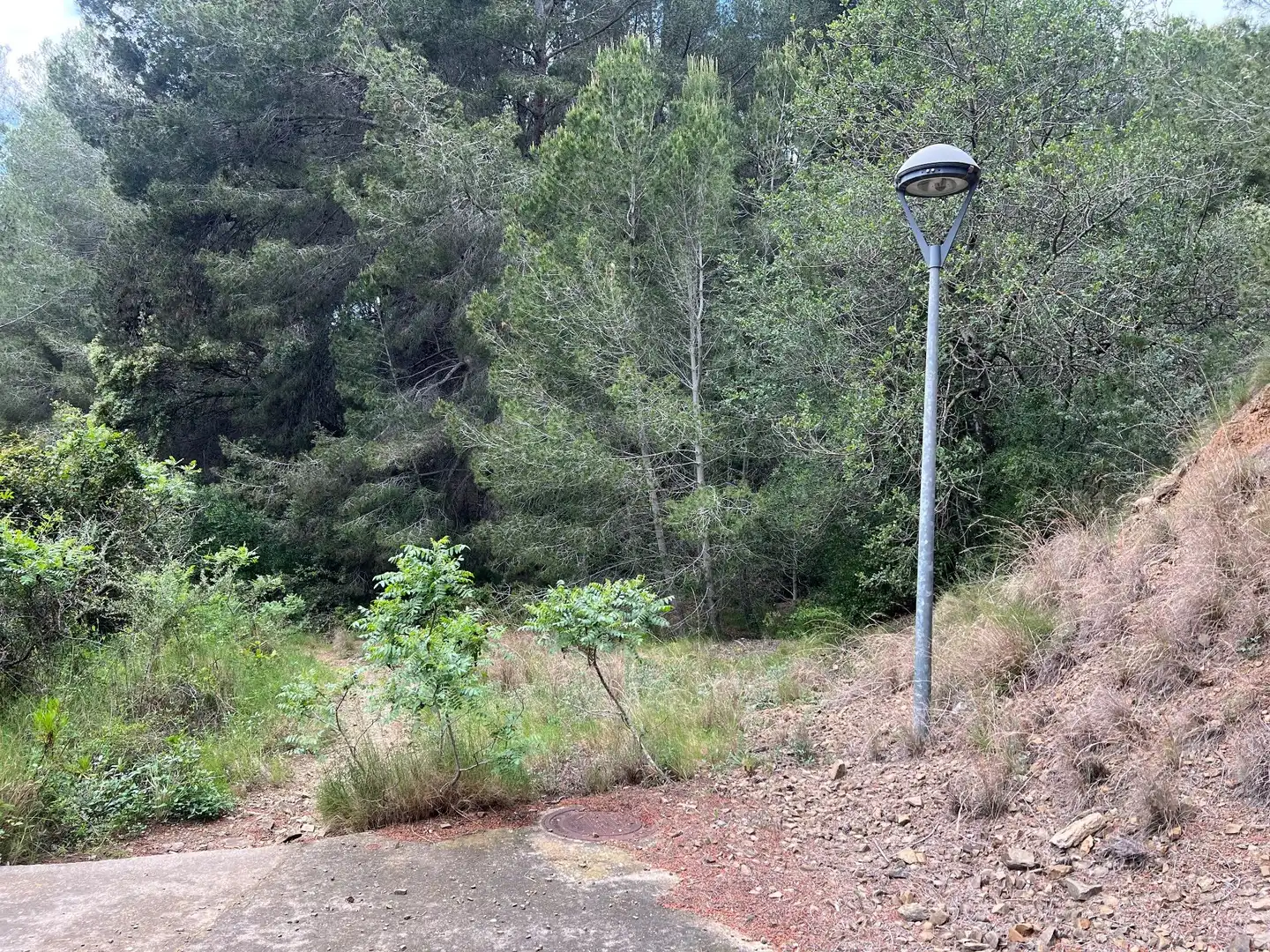Terrenys i solars en venda a de les Alzines 13, imagen 3