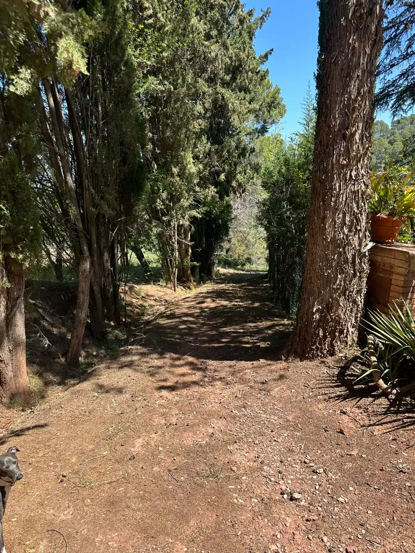 House with terrace for sale in Carrer del Doctor Peris 1, imagen 42