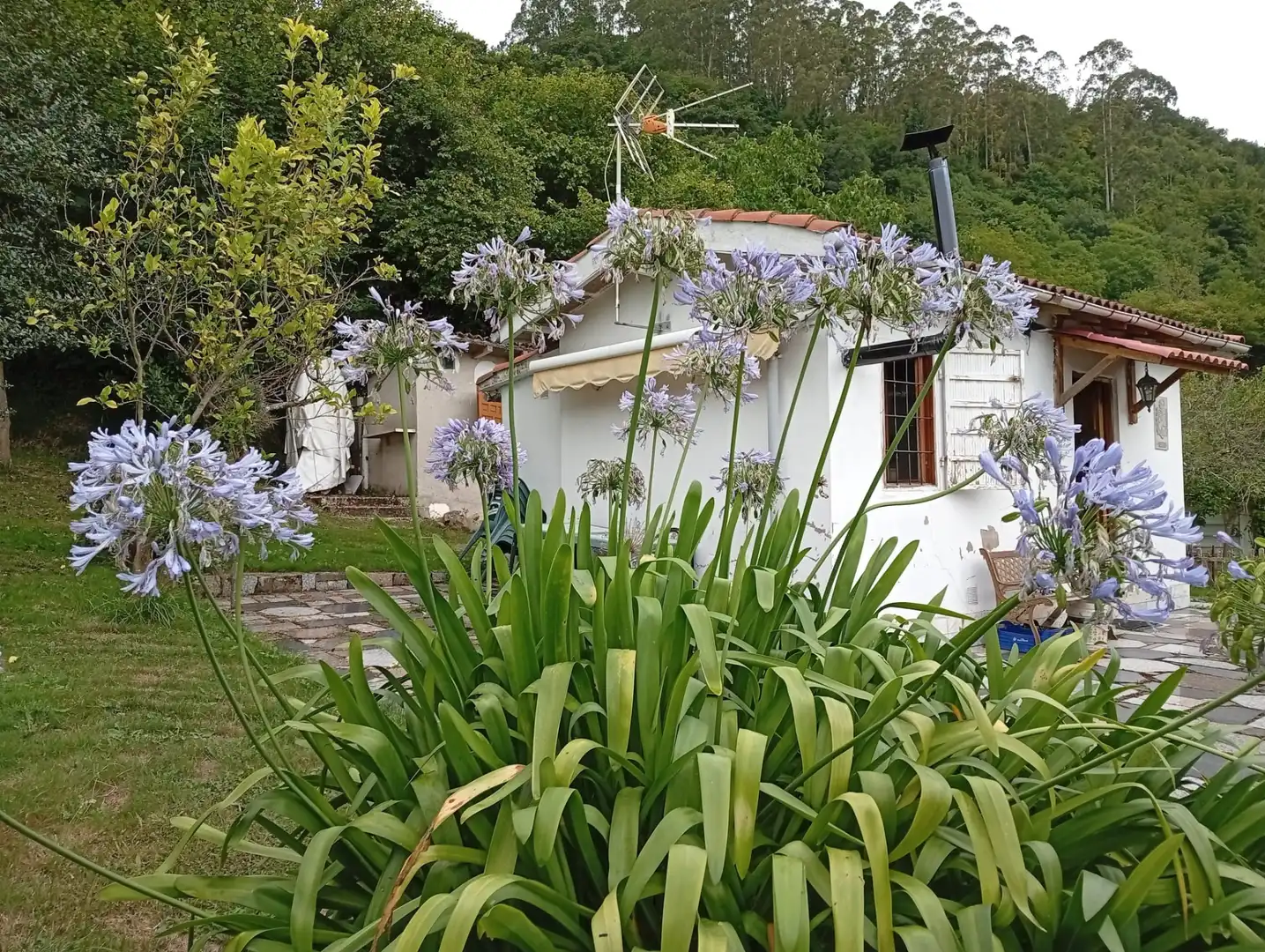 Terreny rústic en venda a Camín de la Xía 686, imagen 34