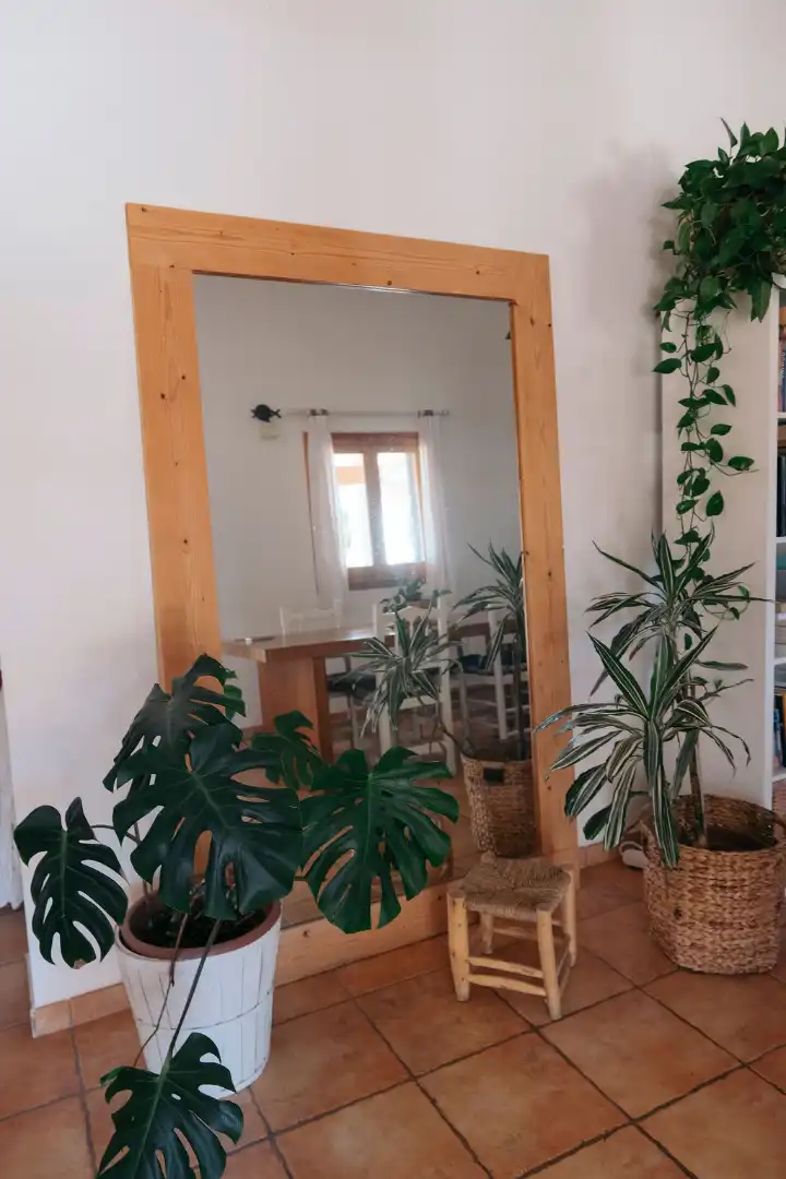 Houses for sale in Formentera