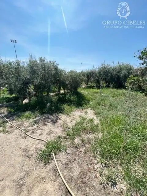 Finca rústica en venta en Pechina