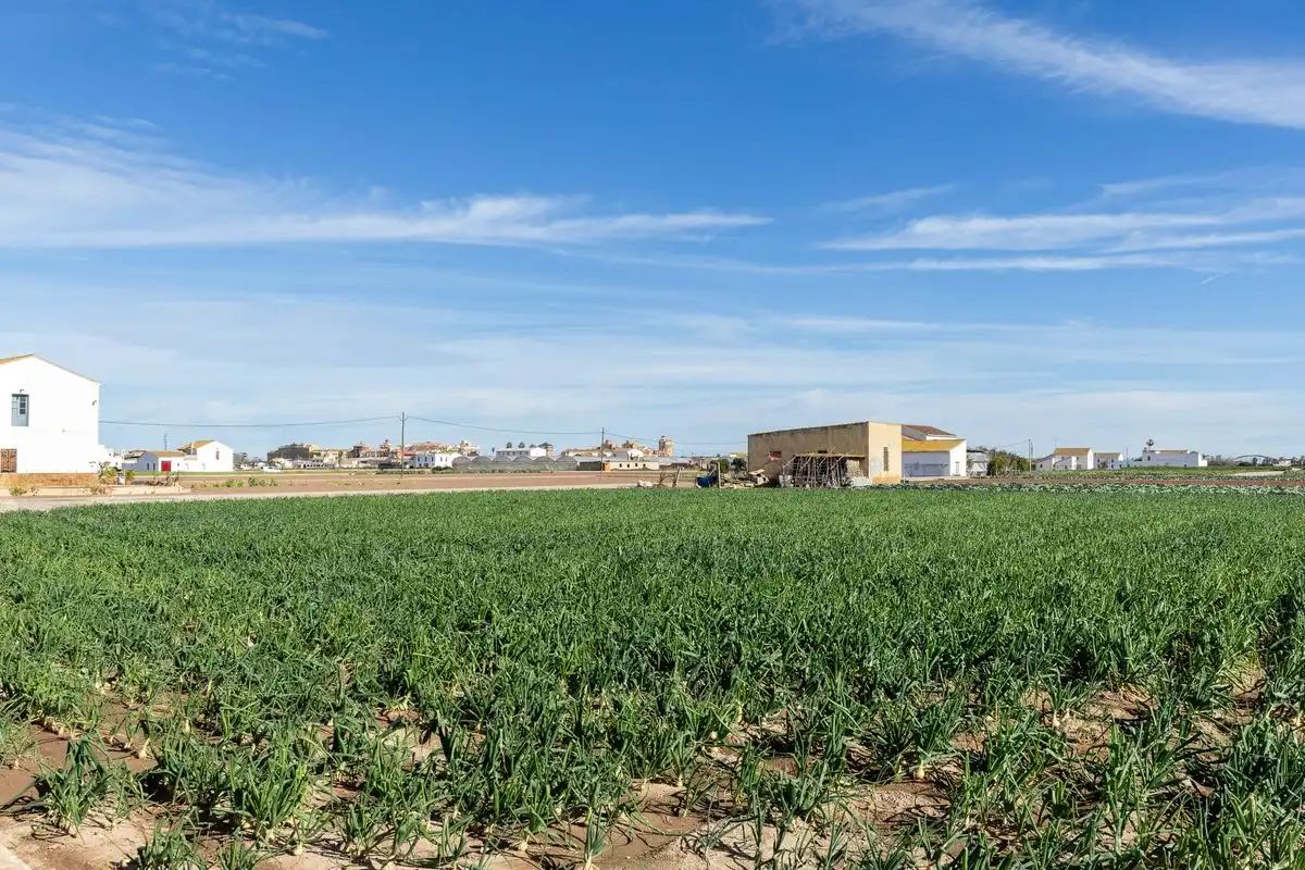 Casa amb terrassa en venda a Partida de Saboia, imagen 45