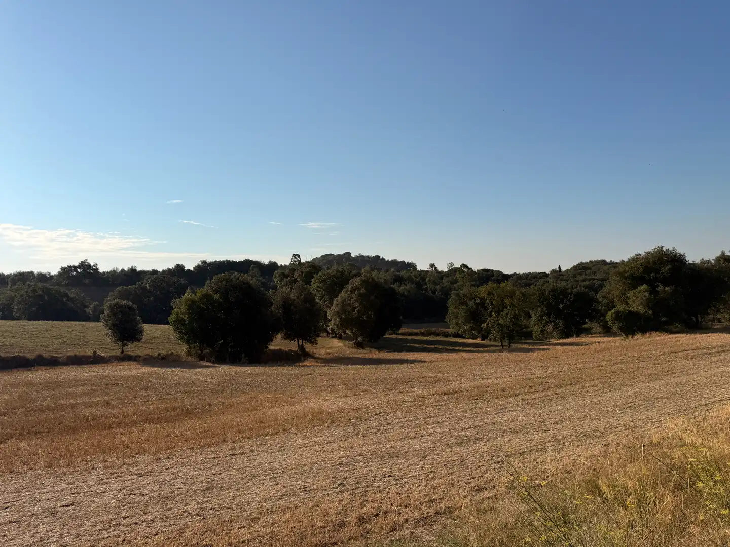 Finca rústica en venda en Vilobí d'Onyar