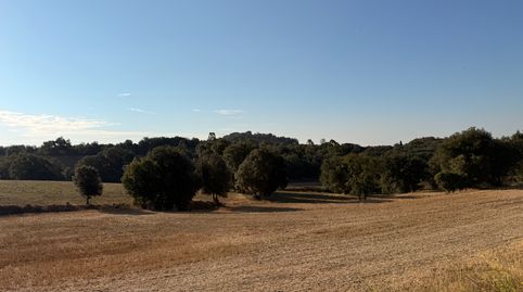 Foto 3 de Finca rústica en venda a Carretera de Vilobí D'onyar, 51, Vilobí d'Onyar, Girona