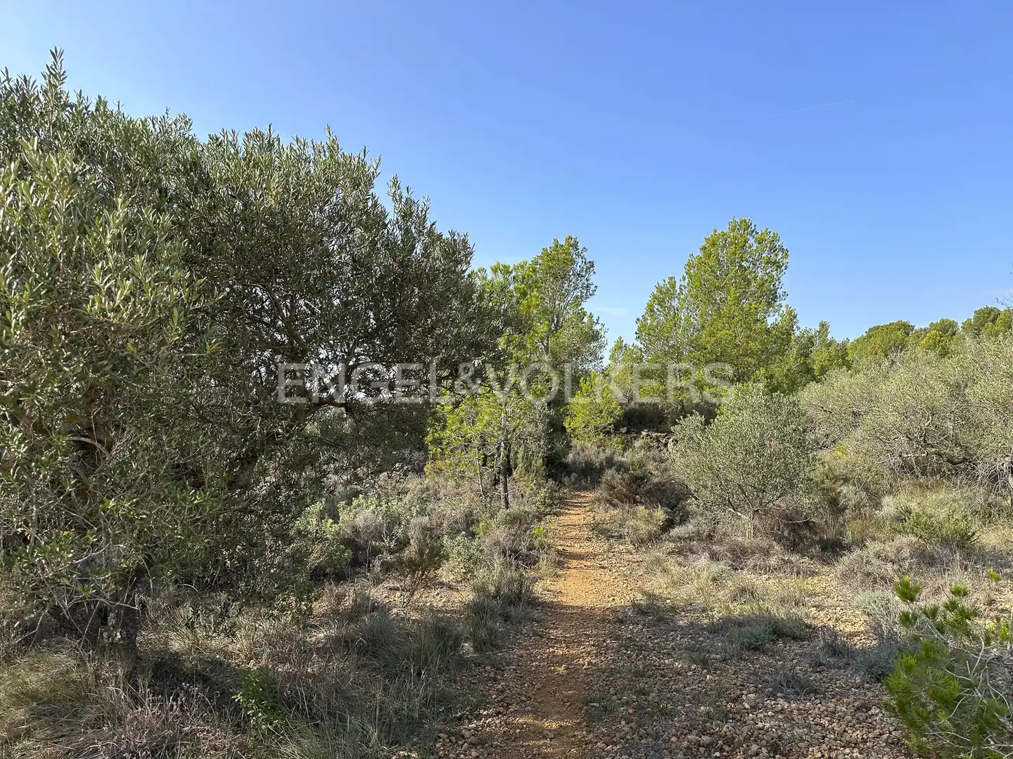 Residential land for sale in Torrelles de Foix, imagen 52