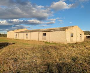 Exterior view of Industrial buildings for sale in Ulldecona