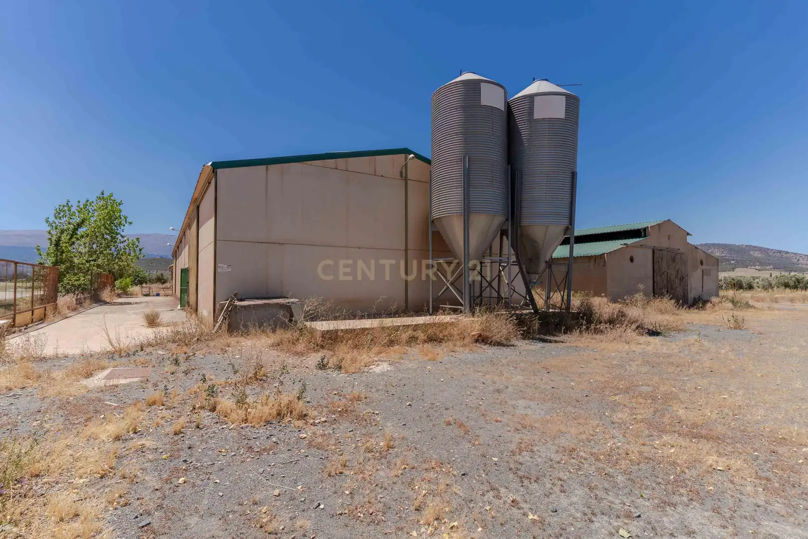 Vista exterior de Terreno en venta en Cogollos de Guadix