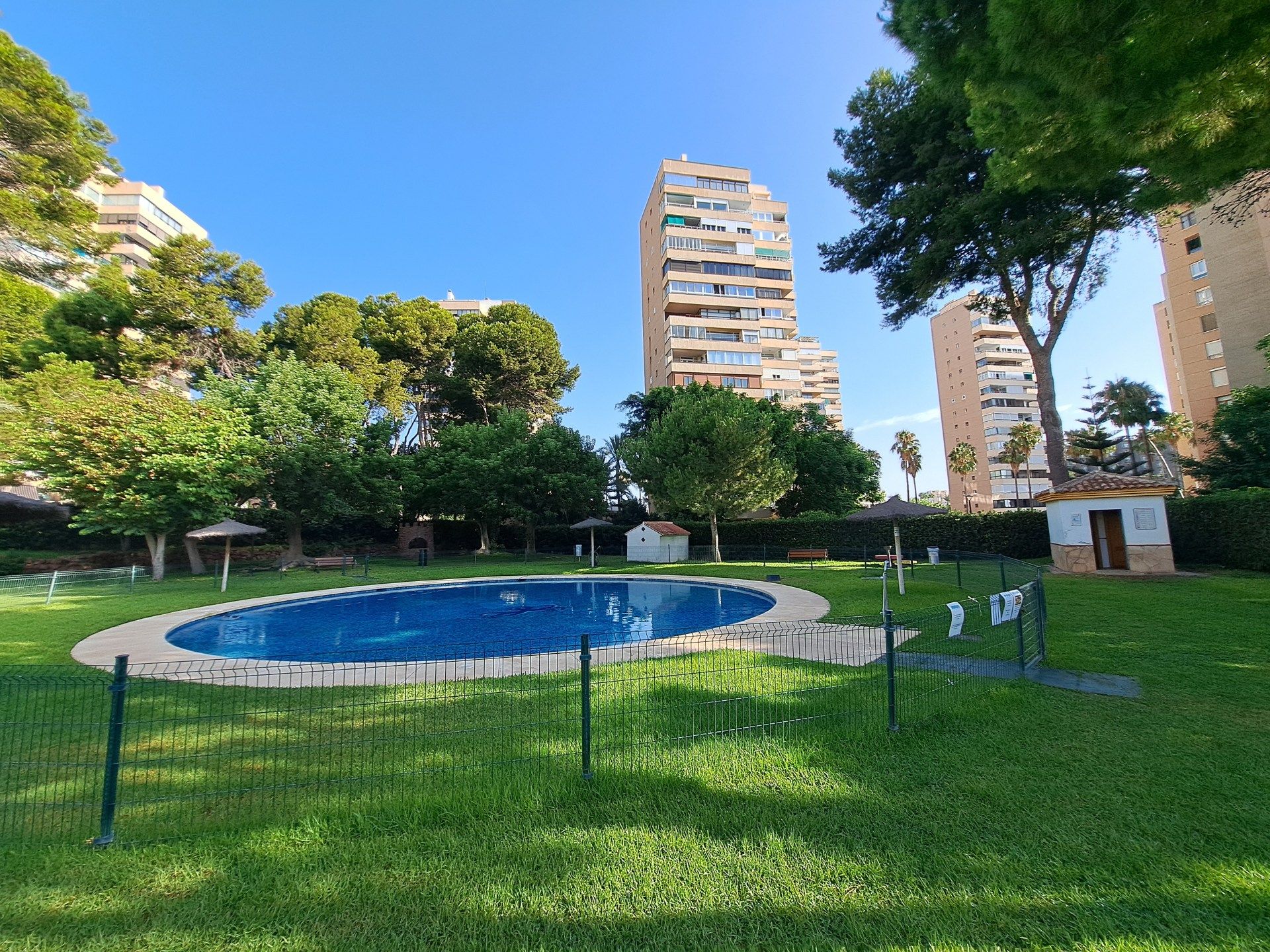 Swimming pool of Flat to rent in Torremolinos  with Air Conditioner and Furnished