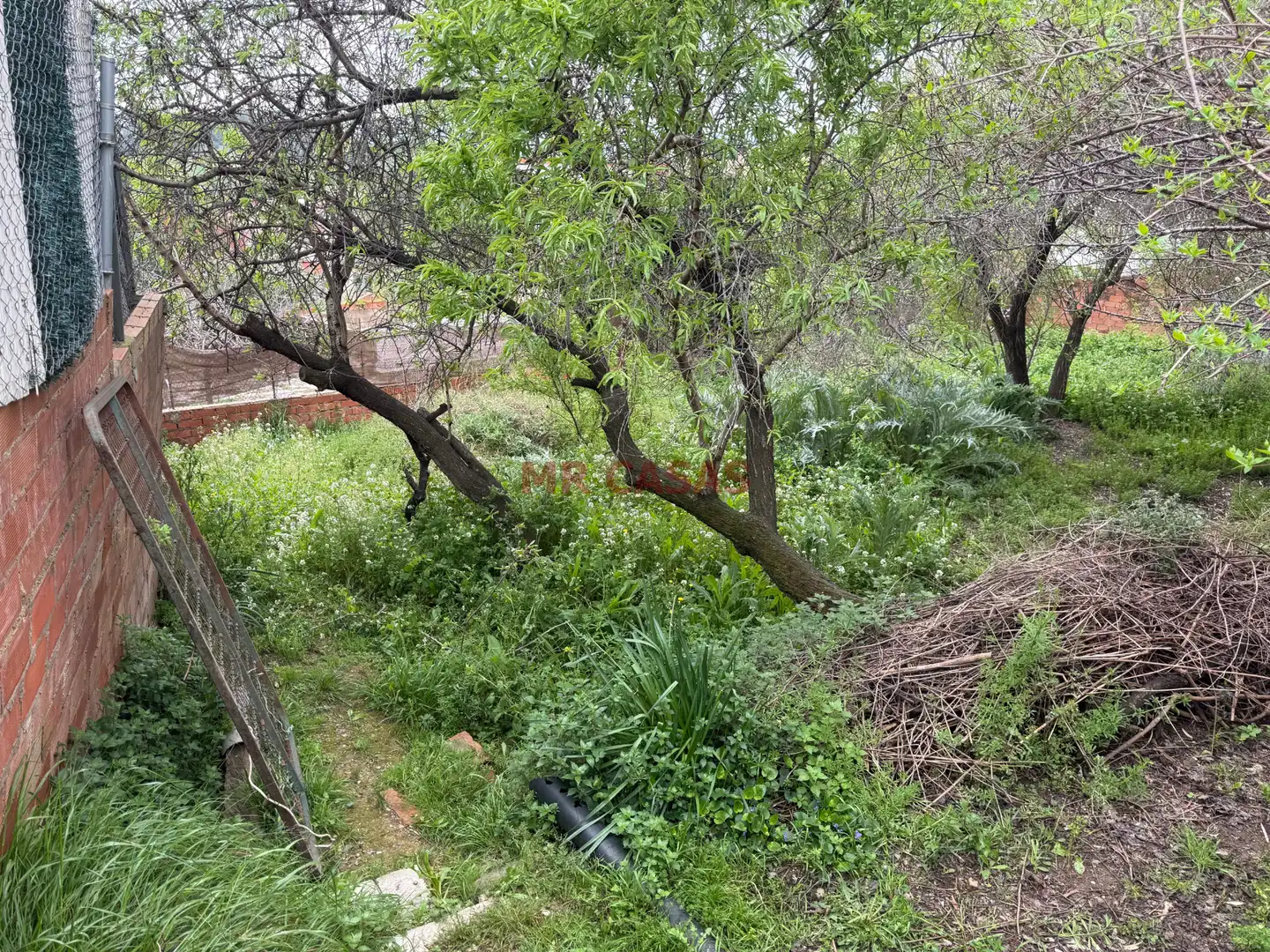 Residential land for sale in Carrer de Lleó, imagen 15