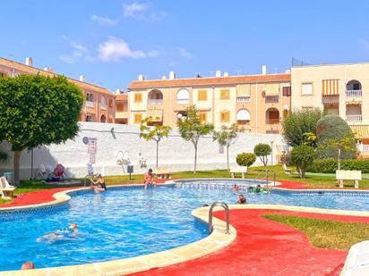 Piscina de Apartament en venda en Torrevieja amb Piscina