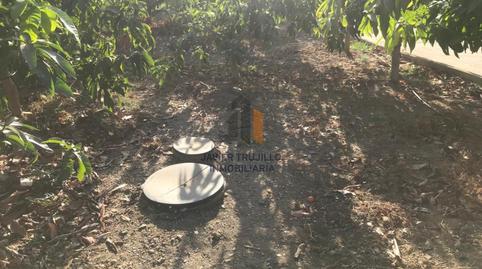 Foto 3 de Finca rústica en venta en Norte - Barrio del Pilar - El Reñidero, Málaga