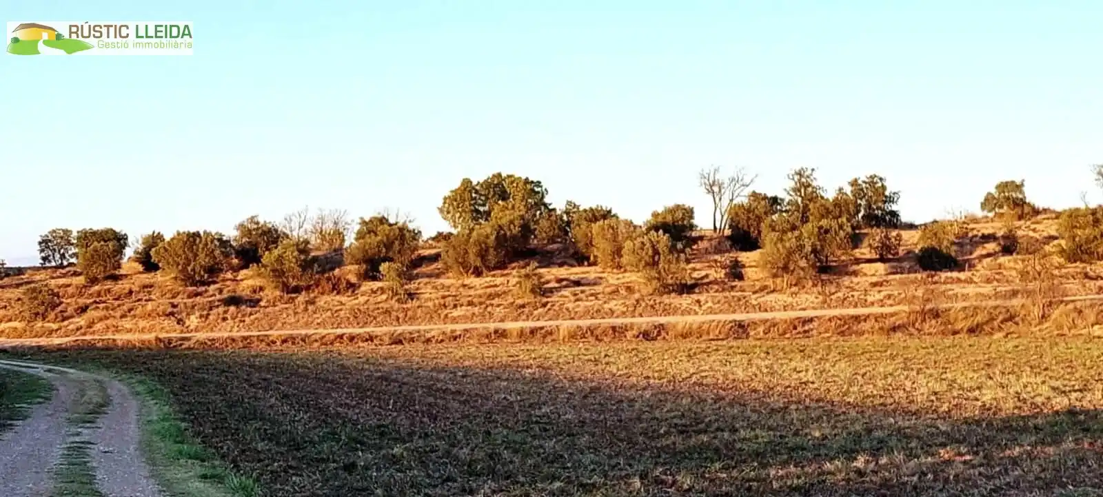 Terreny rústic en venda a Puiggròs, imagen 2