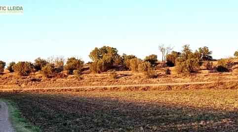 Foto 2 de Terreno en venta en Puiggròs, Lleida