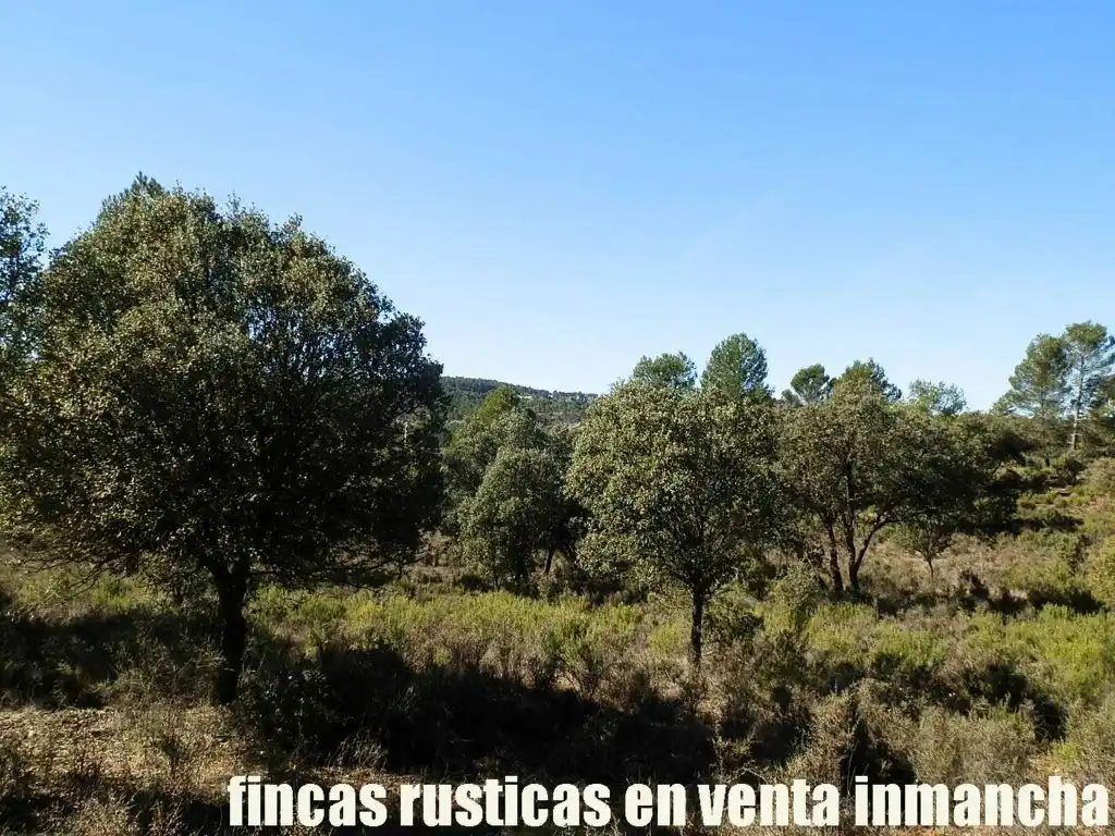 Land for sale in Valdeolivas