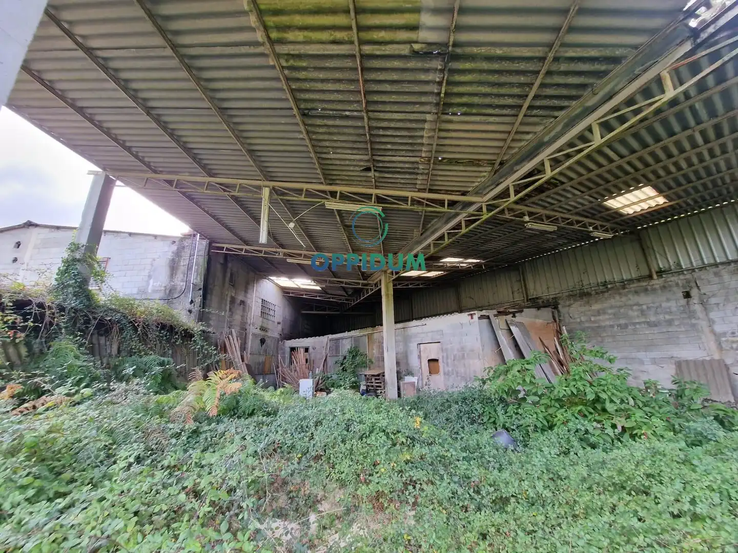 Industrial buildings for sale in Touro
