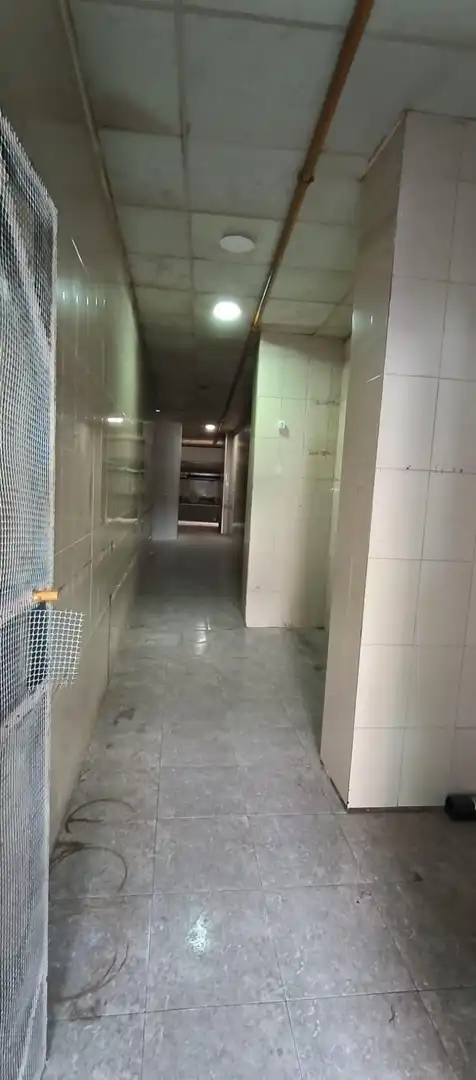 Geschaftsraum zur Miete in Valencia