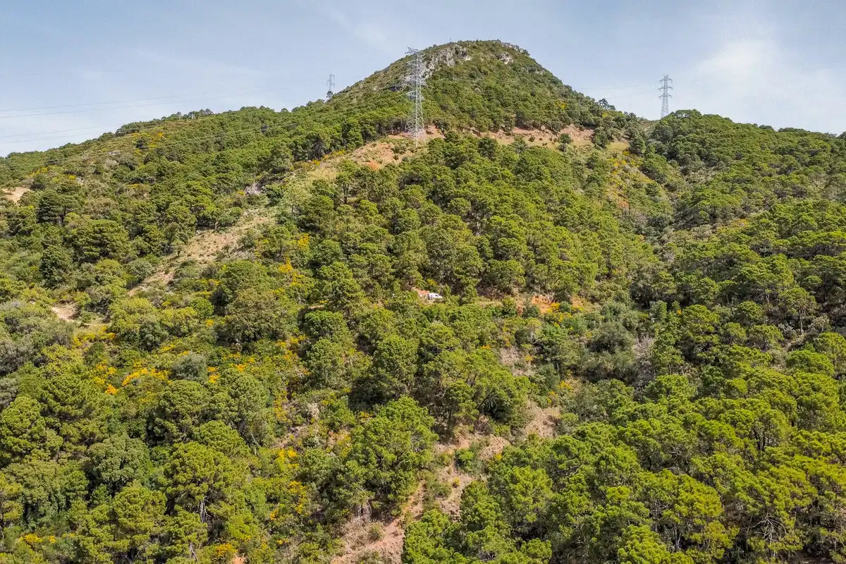 Terreni e lotti in vendita a Carretera Benahavís 11, imagen 10