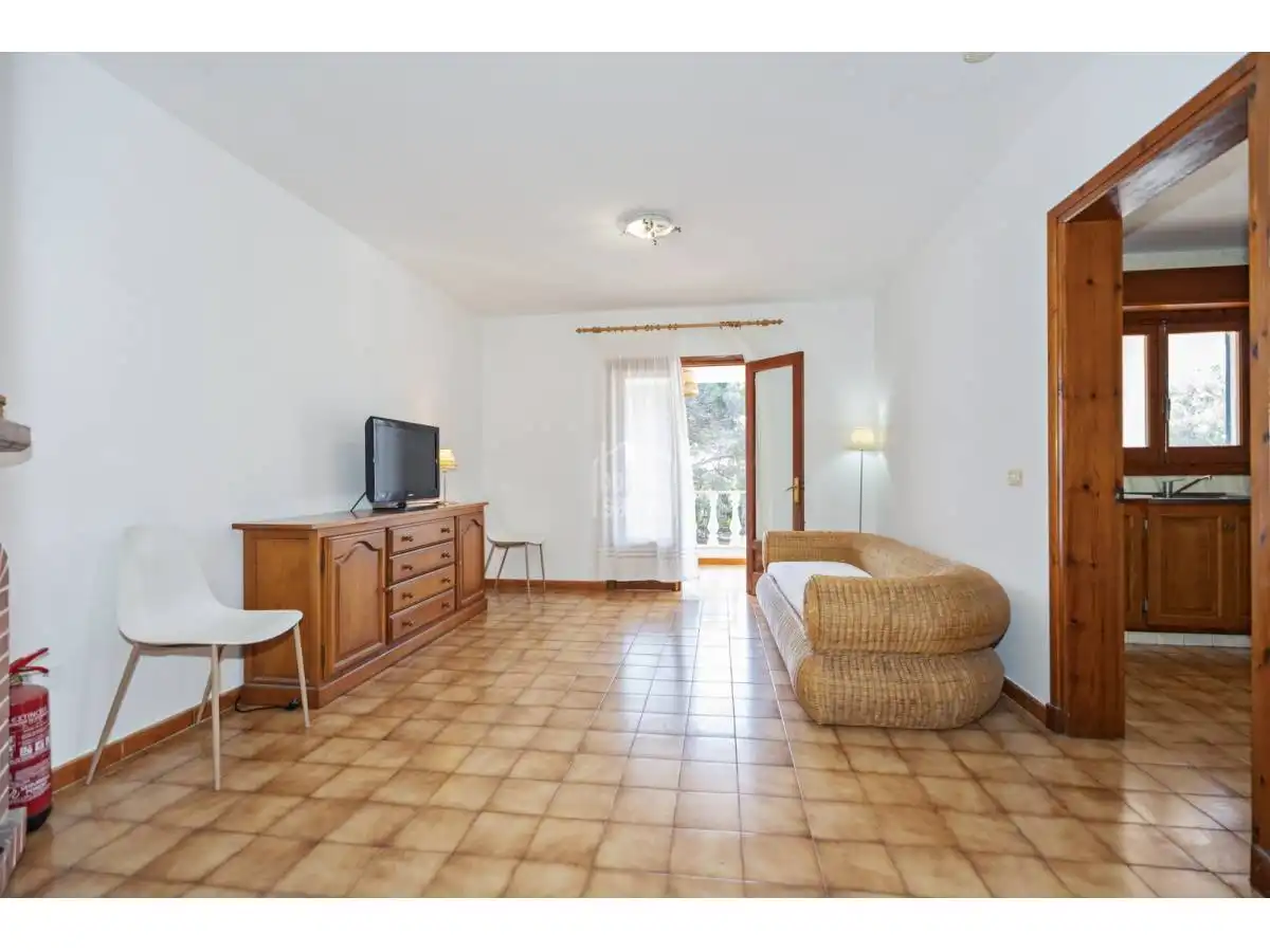 Living room of Houses for sale in Ferreries  with Private garden, Terrace and Swimming Pool