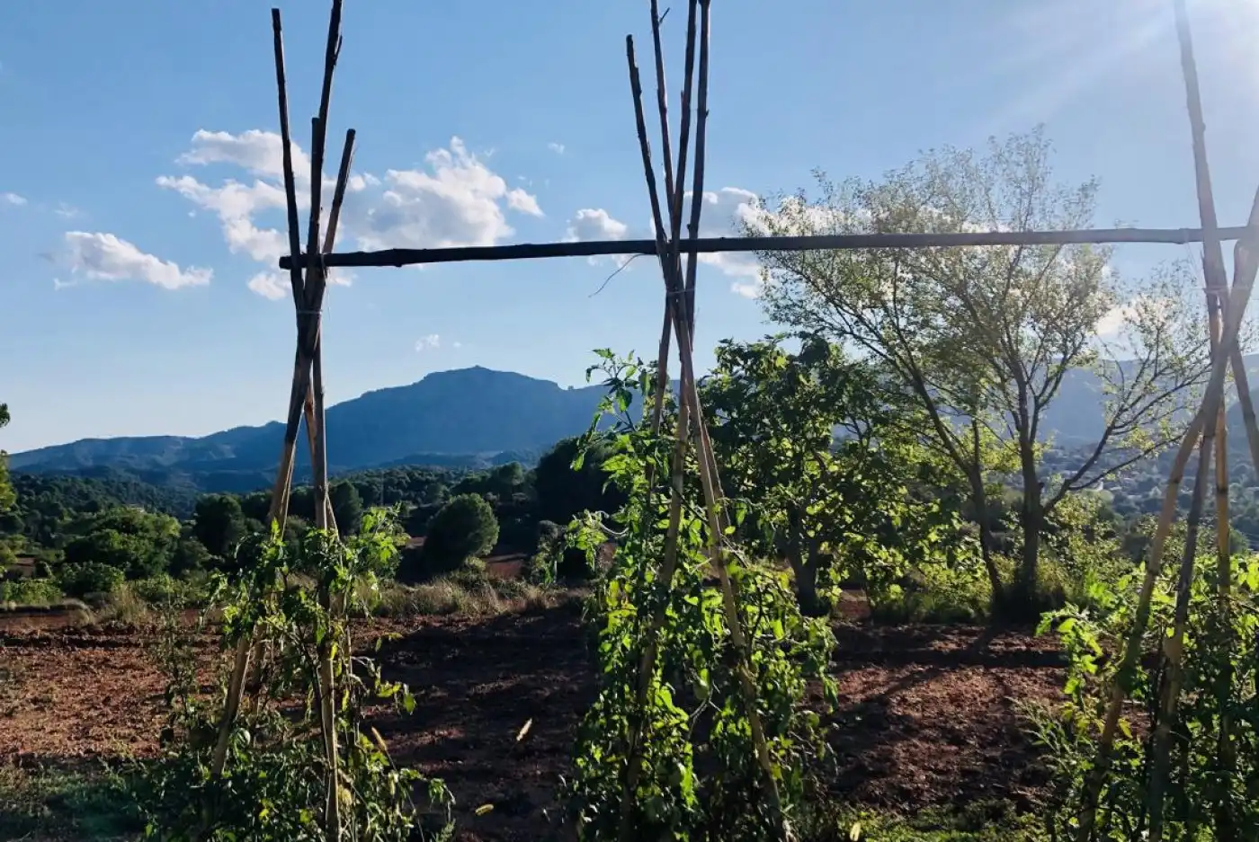 Casa rústica en venta en Camino Vall de Maria, imagen 22