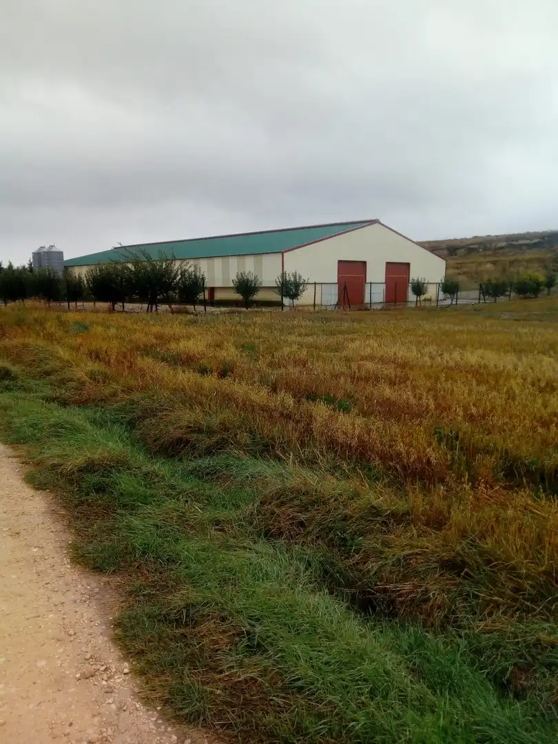 Vista exterior de Nave industrial en venta en Cuzcurrita de Río Tirón