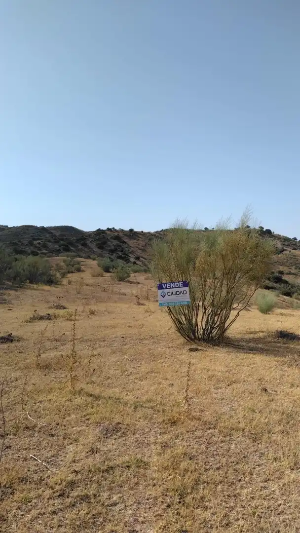 Rural land for sale in Morón de la Frontera, imagen 20