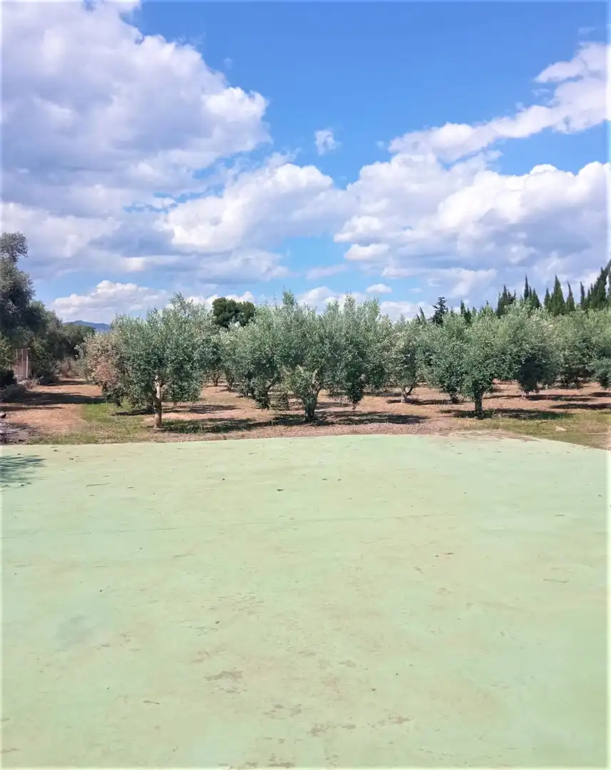 Houses for sale in Móra d'Ebre  with Air Conditioner, Heating and Swimming Pool