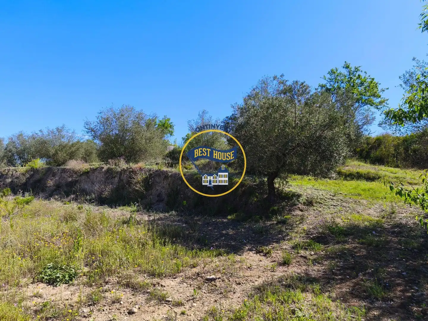 House for sale in Albaida, imagen 13