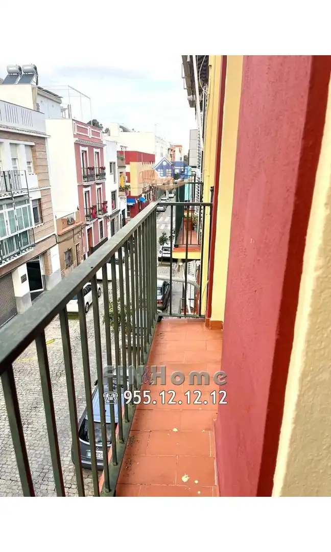 Pis de lloguer a Triana Oeste