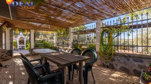 Foto 5 de Finca rústica en venda a  la Charca, S/n, Cogollos de la Vega, Granada