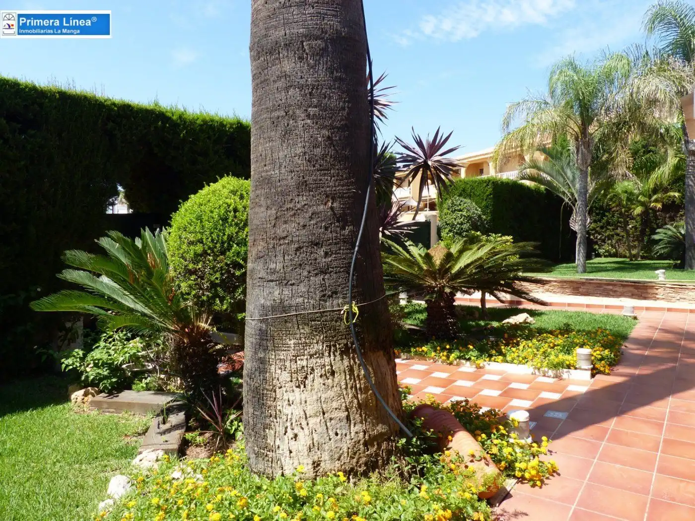 Jardín de Casa o chalet en venta en La Manga del Mar Menor con Jardín privado, Terraza y Trastero