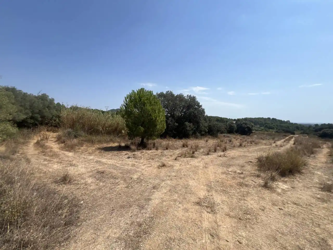 Rural land for sale in Camino Aleixar 15