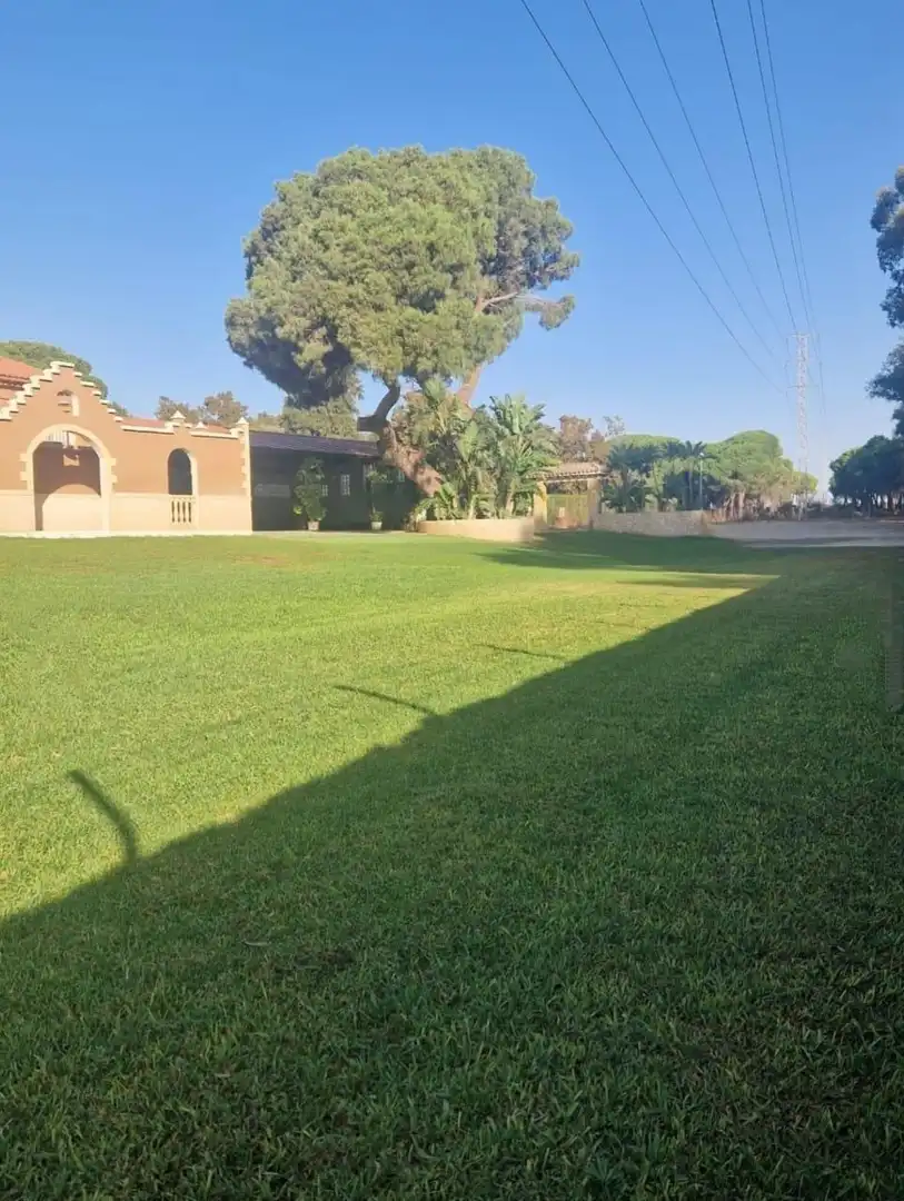 Garden of Houses for sale in Puerto Real