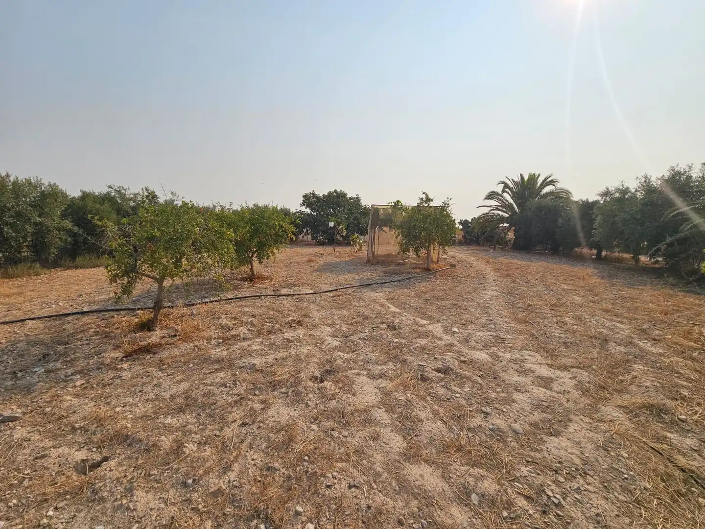 Finca rústica en venda en Murcia